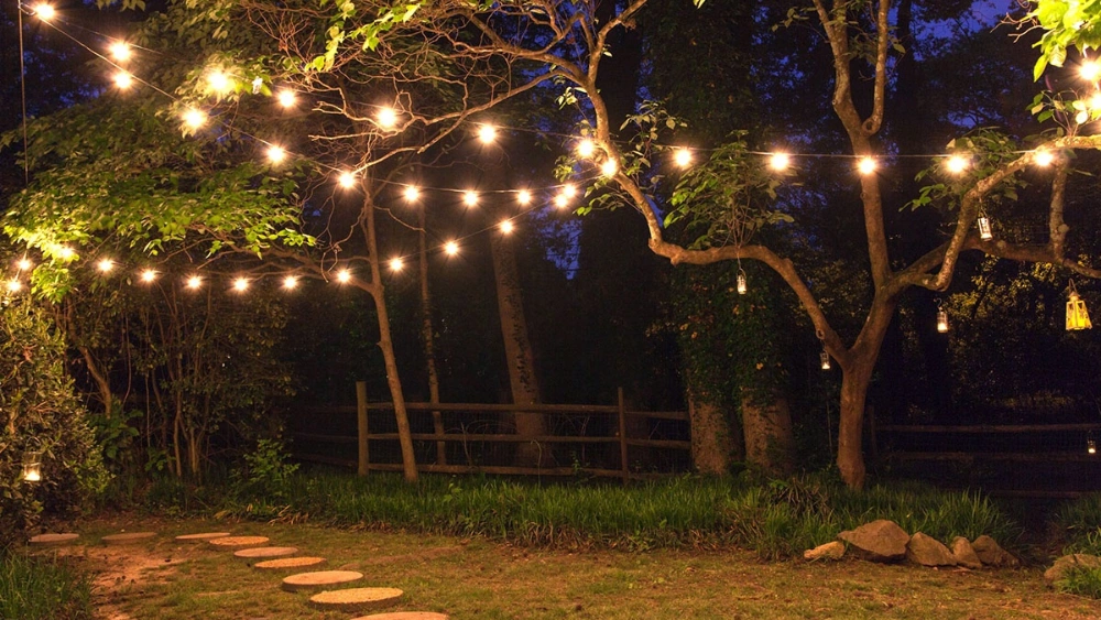 How to String Lights on an Outdoor Tree: Easy Tips for Stunning Glow