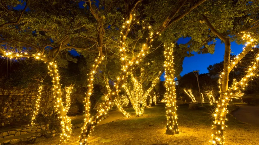 How Many Feet of Lights to Wrap an Outdoor Tree: Ultimate Guide